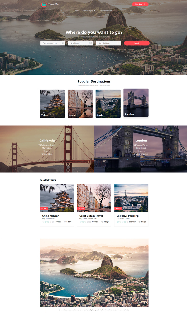 Travel Website Search Templates